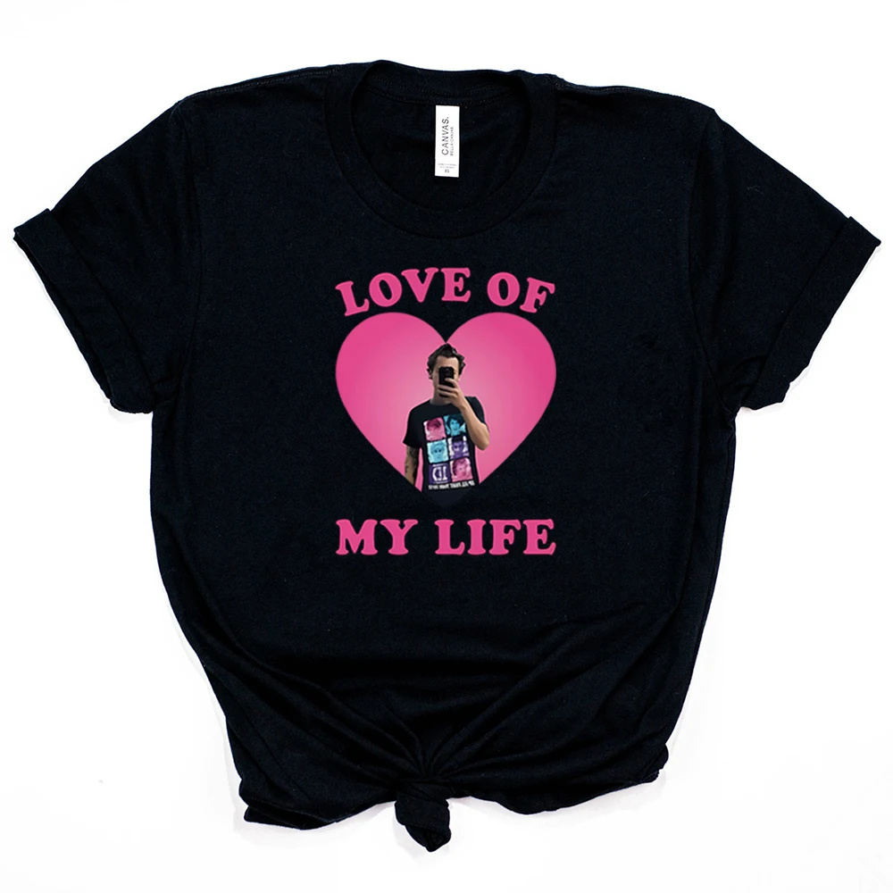 Love of My Life HS Graphic Tee TPWK Pleasing T-shirt Love on Tour Shirt HS Selfie Y2k 90s Harajuku Tshirt Cute As It Was Tshirt