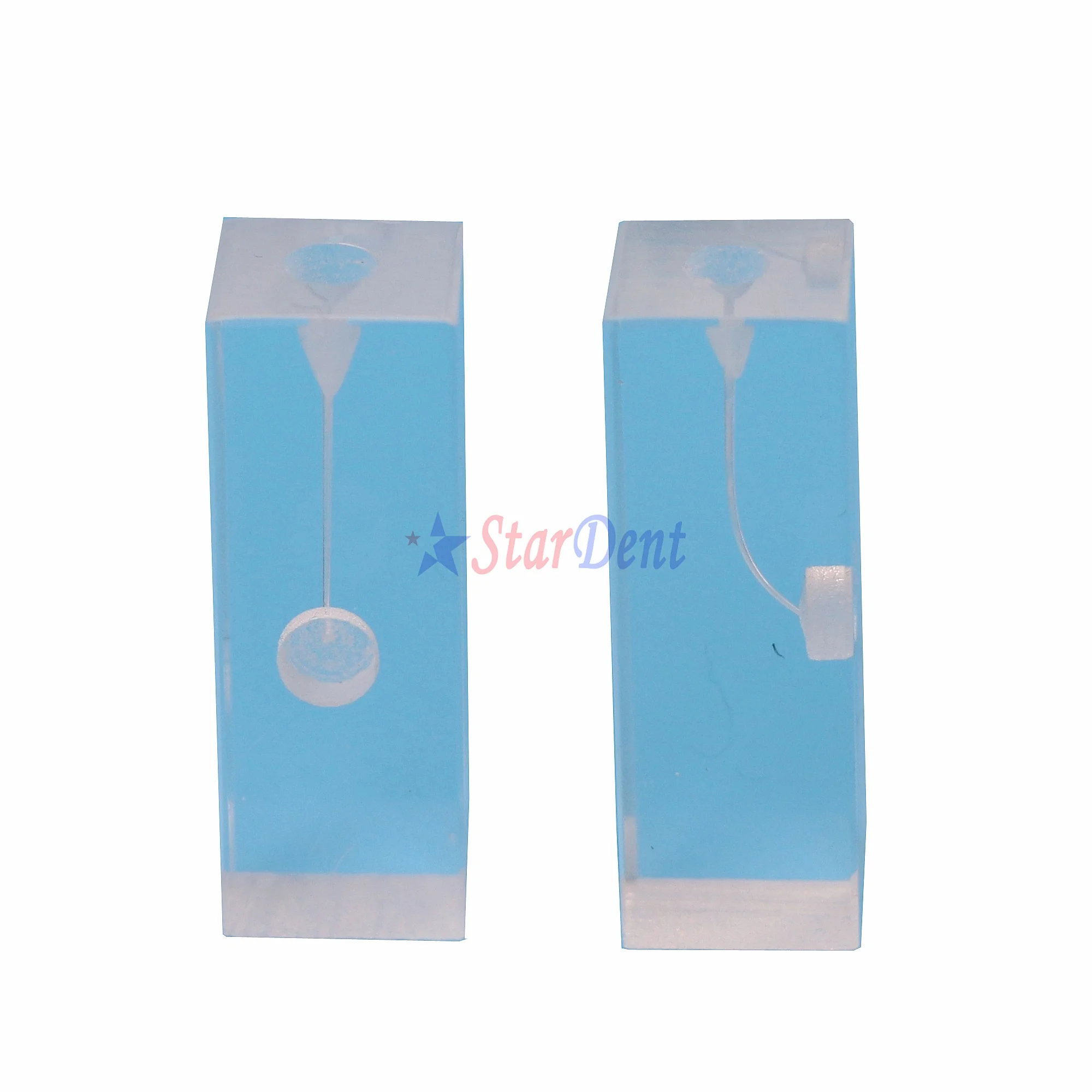 J-shaped Gutta Percha Training Blocks for Endodontic Root Canal Filling Student Dentals Model