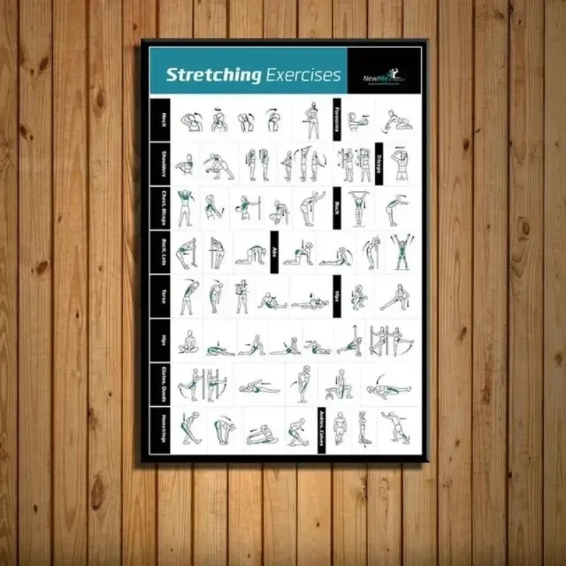 Körpertrainings-Diagramm GYM Fitness Bodybuilding Wandkunst Poster Minimalistischer Druck Leinwandgemälde für Moderne Heimdekoration
