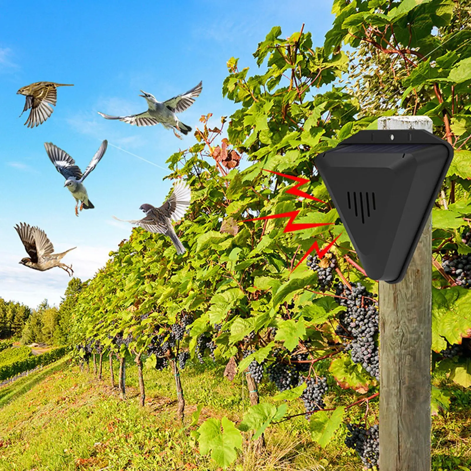 Solar Timer Bird Repeller With 13 Sound Waterproof Bird Repellent Alarm Outdoor Crop Orchard Protection Animal Deterrents