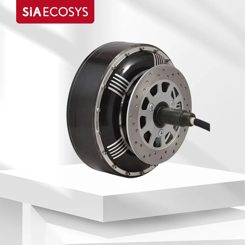 

Двигатель QS 6000 Вт 273 45H V3 Тип мотор-концентратор высокой мощности с CE для преобразования электромобилей