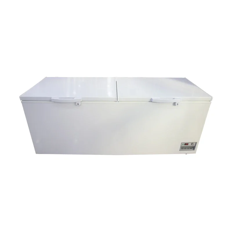 Newest Professional Commercial  Refrigerator Horizontal Freezers Chest Type Deep Freezer Fridge 2025