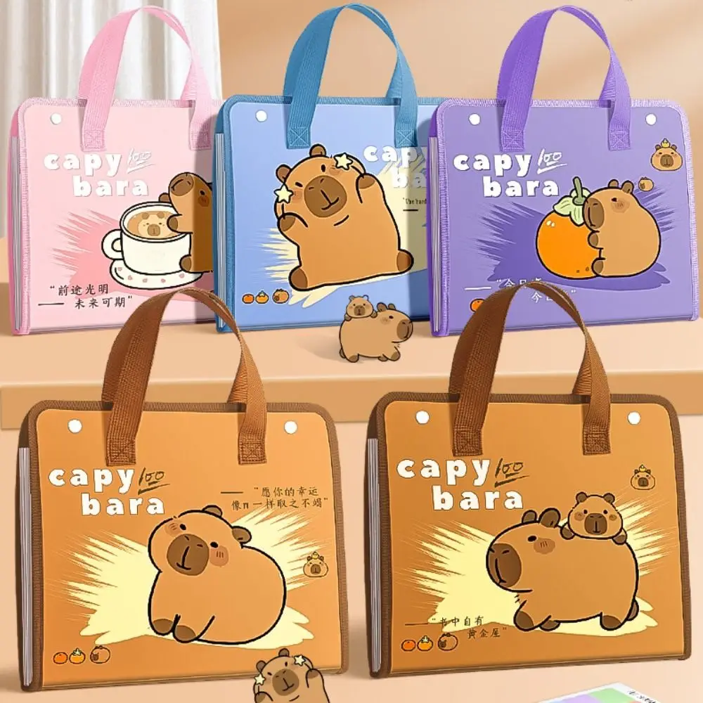 

New Capybara A4 File Folder Large Capacity 13 Pockets File Organizer Cartoon Waterproof Test Paper Storage Folder Students