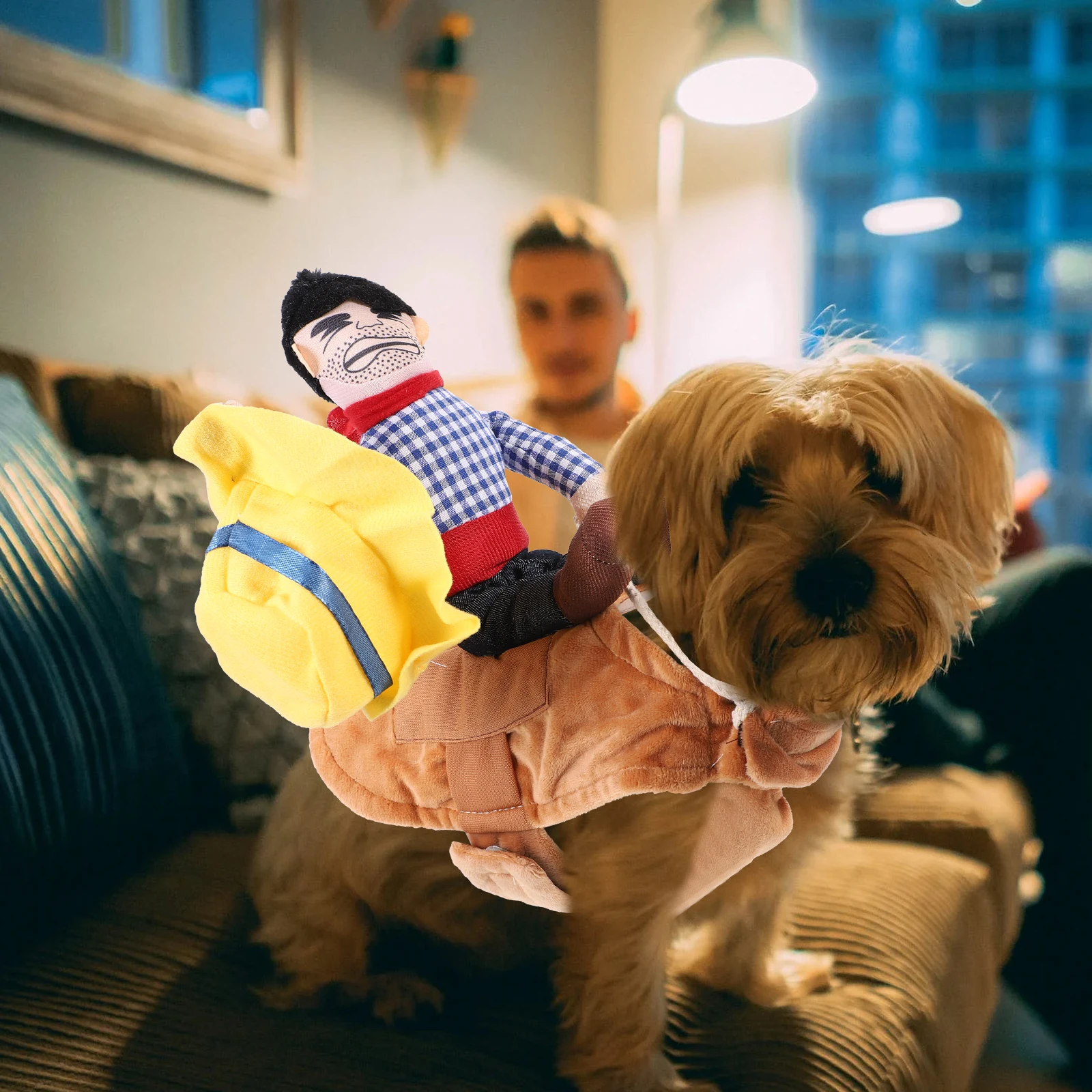 

Denim Transformation Costume Horse Humor Suit for Maltese Jack French Bulldog Corgi Dog Clothes Weekend
