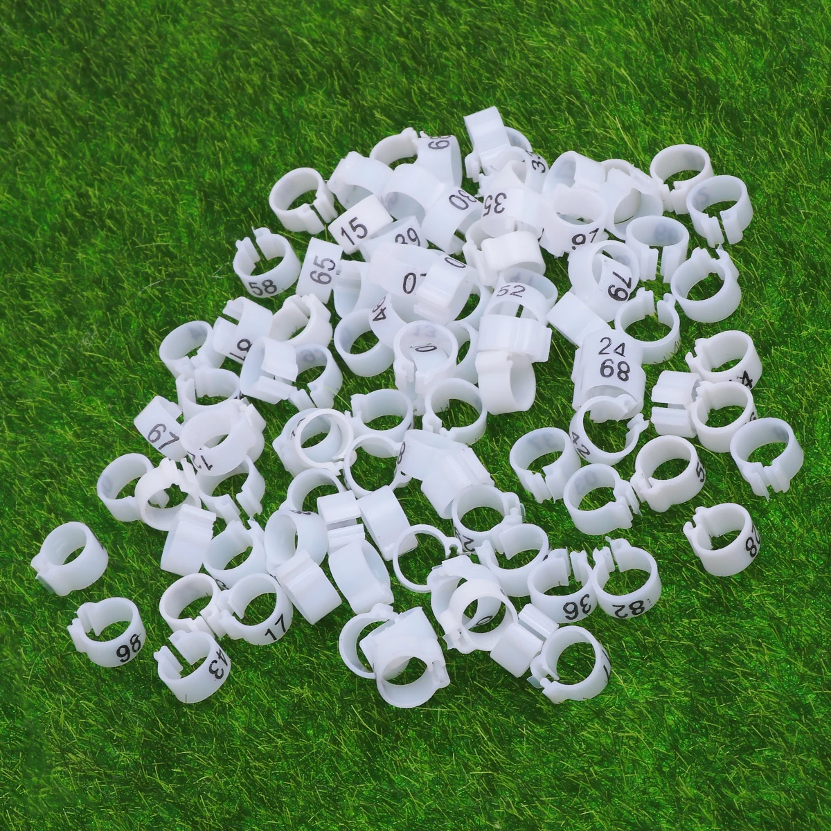 

100pcs Foot for Birds Bright Colors Eco Friendly Easy Identification Accessories Leg Toy Parrot Foot Rings Pet Supplies