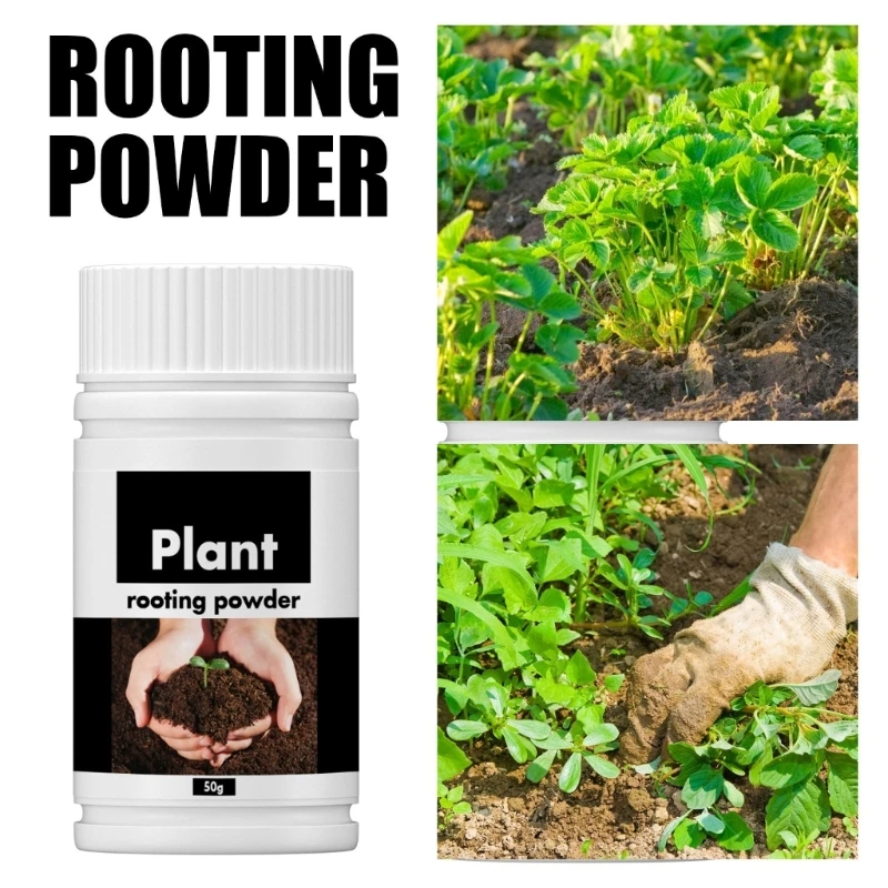 Rapid Rooting Powder Water Soluble Strong Rooting Growth Root Seed Germination Plant Flowers Seeds Drop Shipping