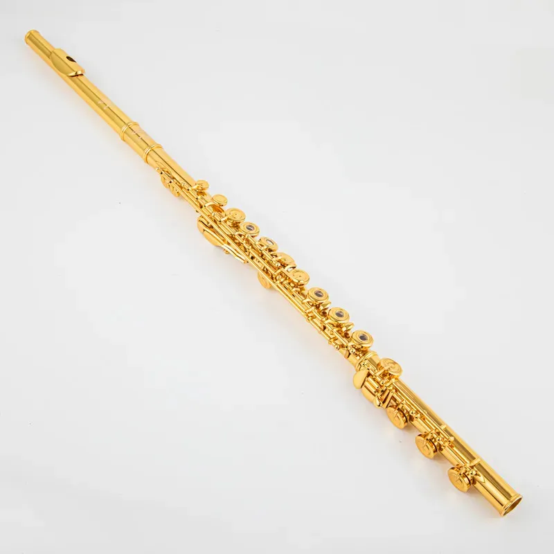 

2026 hot new Powell PS705 gold-plated flute C-tune 17 open hole professional flute with case