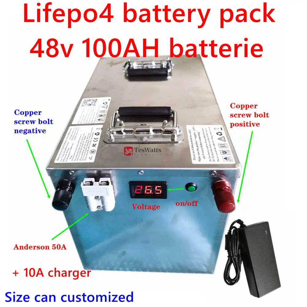 lifepo4 battery pack 48v 100AH batterie with BMS for electric tricycle golf cart boat EV RV camper scooter + 10A charger