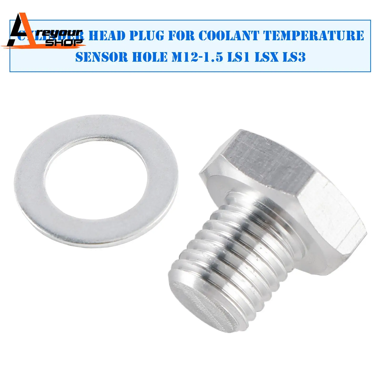 Cylinder Head Plug …