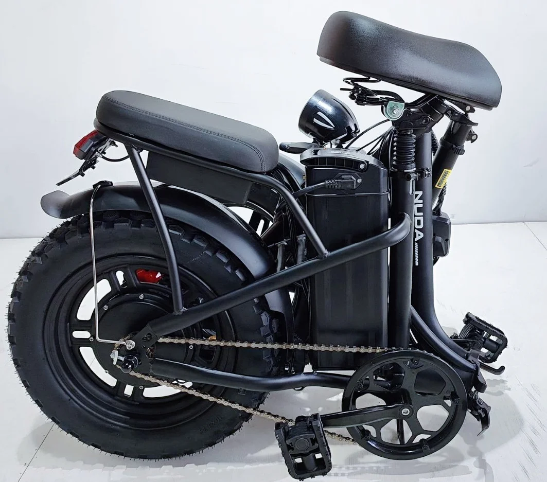 Hot Sale 16-inch High-carbon Steel Frame Style 48V 800W30A High-speed Power Lithium Battery Rear Hydraulic Brakel Folding Bike