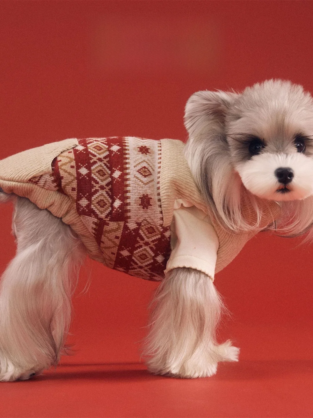 

Зимняя пуховая куртка TawneyBear для собак: жилет для корги, сиба-ину, тони-беров, повседневная теплая одежда для питомцев на улицу