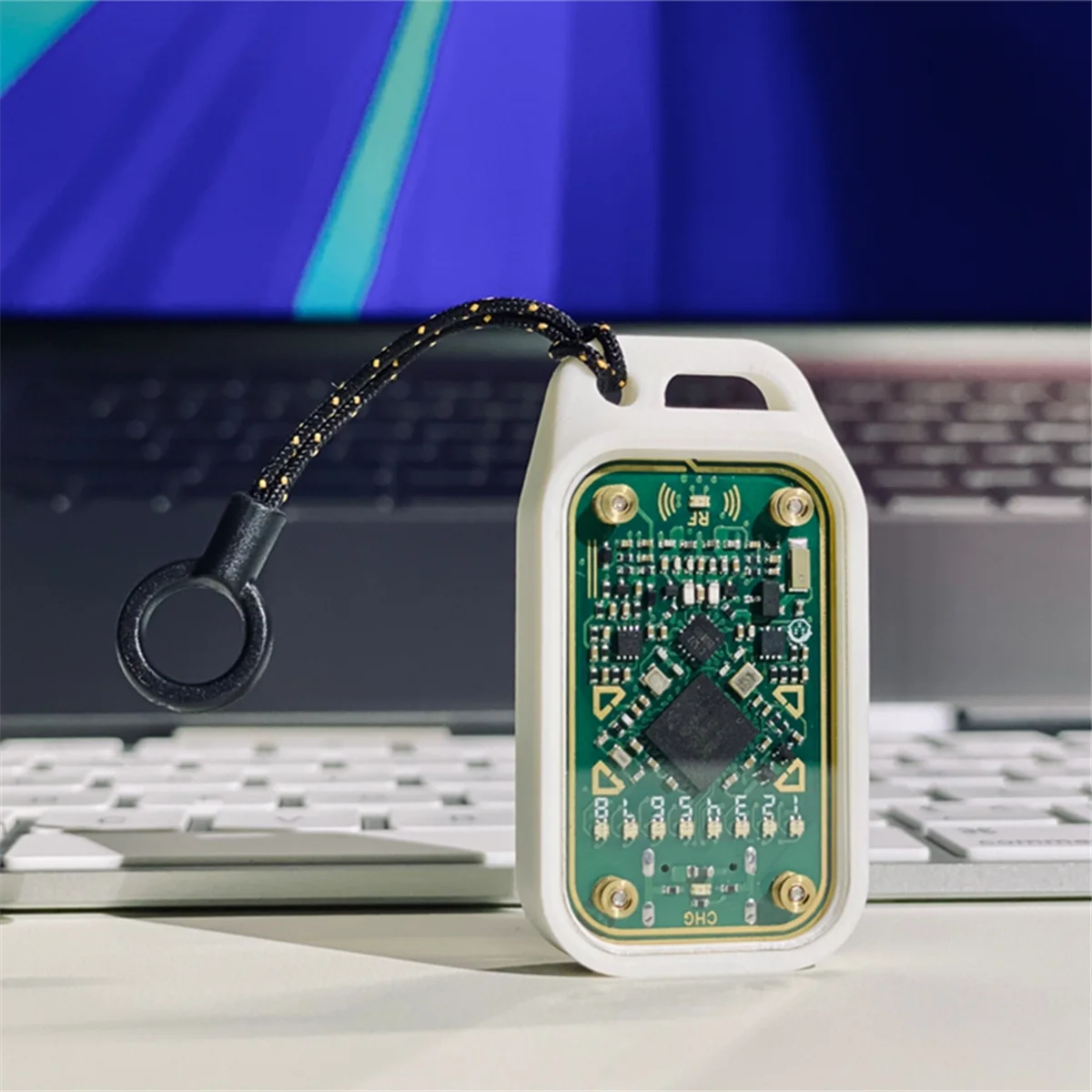 

【New User Coupon】Chameleon Ultra RFID Smart Chip Reader Smart Card Emulator 6-Layer RFID for 125K 13.56M ID IC Card