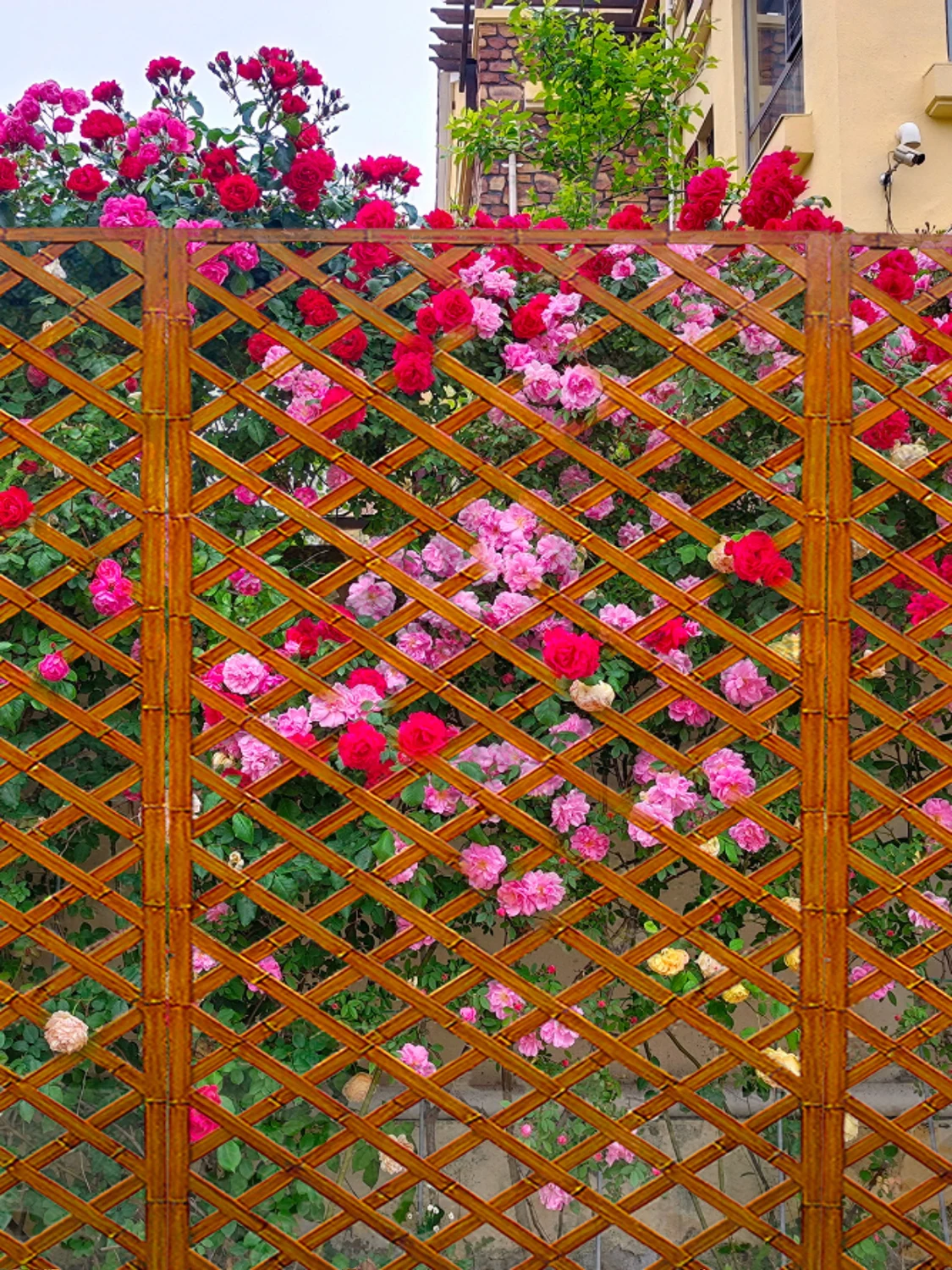 Balcony Terrace Wall Grid Climbing Vine Flower Frame Outdoor Courtyard Garden Fence Guardrail Fence Partition Can Be Customized