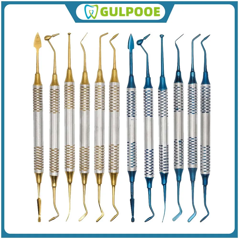 

GULPOOE 6Pcs Dental Composite Resin Filler Handle Restoration Tool Dental Restoration Instrument Handle Titanium Plated Head