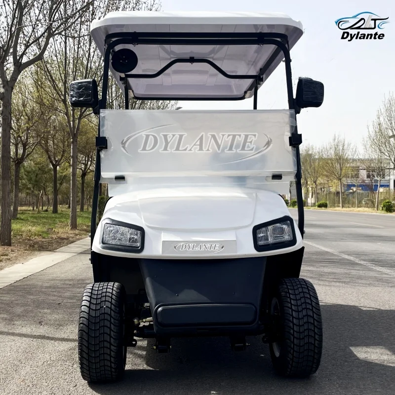 

Old Style Electric Golf Cart 2 Seater 4 Seater 3500W with Folding Rear Seat Cargo Battery Powered Golf Cart for Farm and Ranch