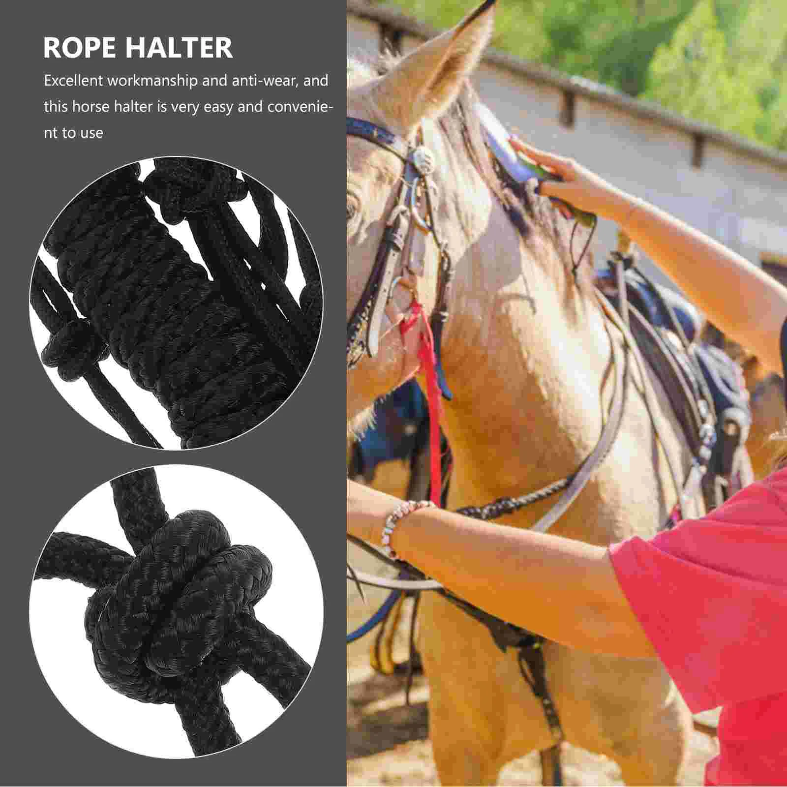 The Reins Horse Holder Trailer Polyesterbürsten für die Pflege von bisschenlosen Noppen und Pferden