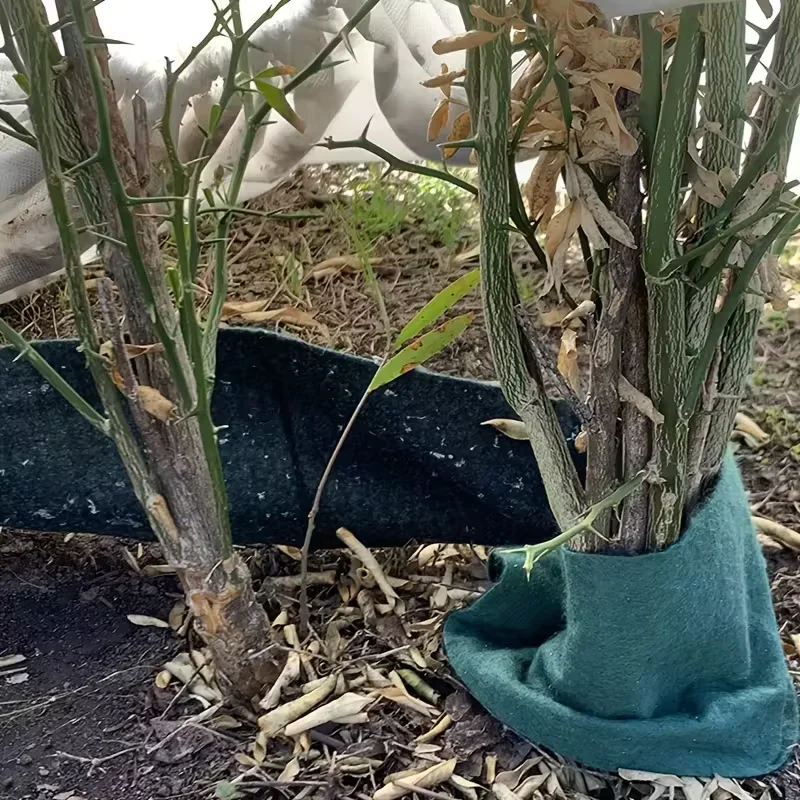 1 Rolle Baumwickelband – Winter-Kofferraumschutz mit Frostschutz, Windschutz, Schädlingssicherung – Rindschutzbandage
