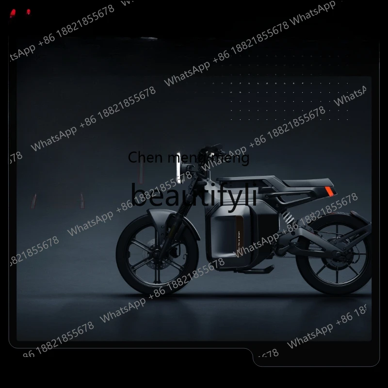 Z189 SQi lithium battery straddling new national standard smart battery car long-distance transportation bicycle