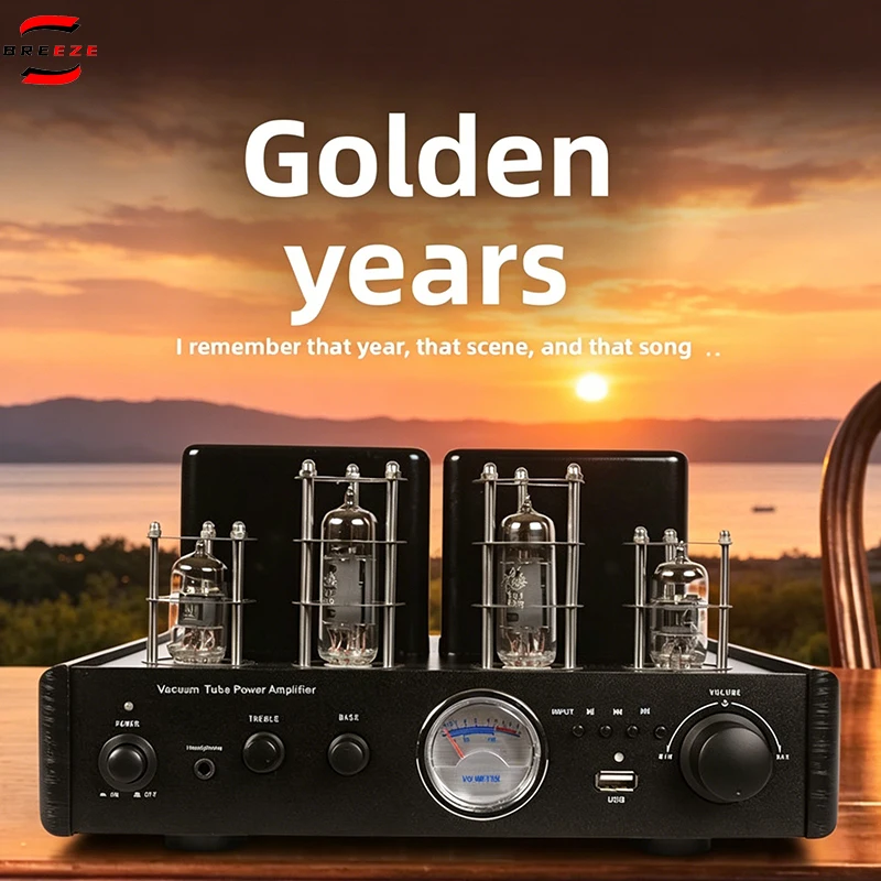 BREEZE 2027 Shock Upgrade Releases D6 HIFI Gallbladder Combination Audio Set Fever Tube Amplifier
