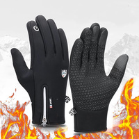 Winter Thermal Gloves for Men and Women, Touch Screen Fingers Waterproof Windproof Anti Slip Warm Gloves for Hiking Driving