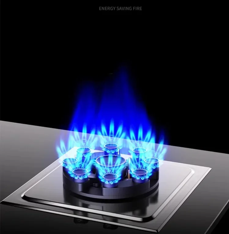 Estufa de gas Royalstar, doble quemador, ahorro de energía, estufa de gas natural GLP para el hogar, AI