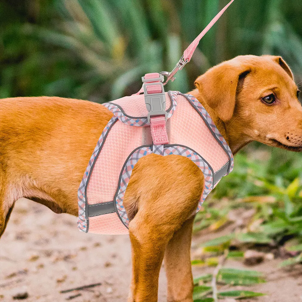 

Dog Harness Vest Set Lightweight Adjustable Wear Resistant Portable Reflective Polyester Pet Strap Large Dogs Walking