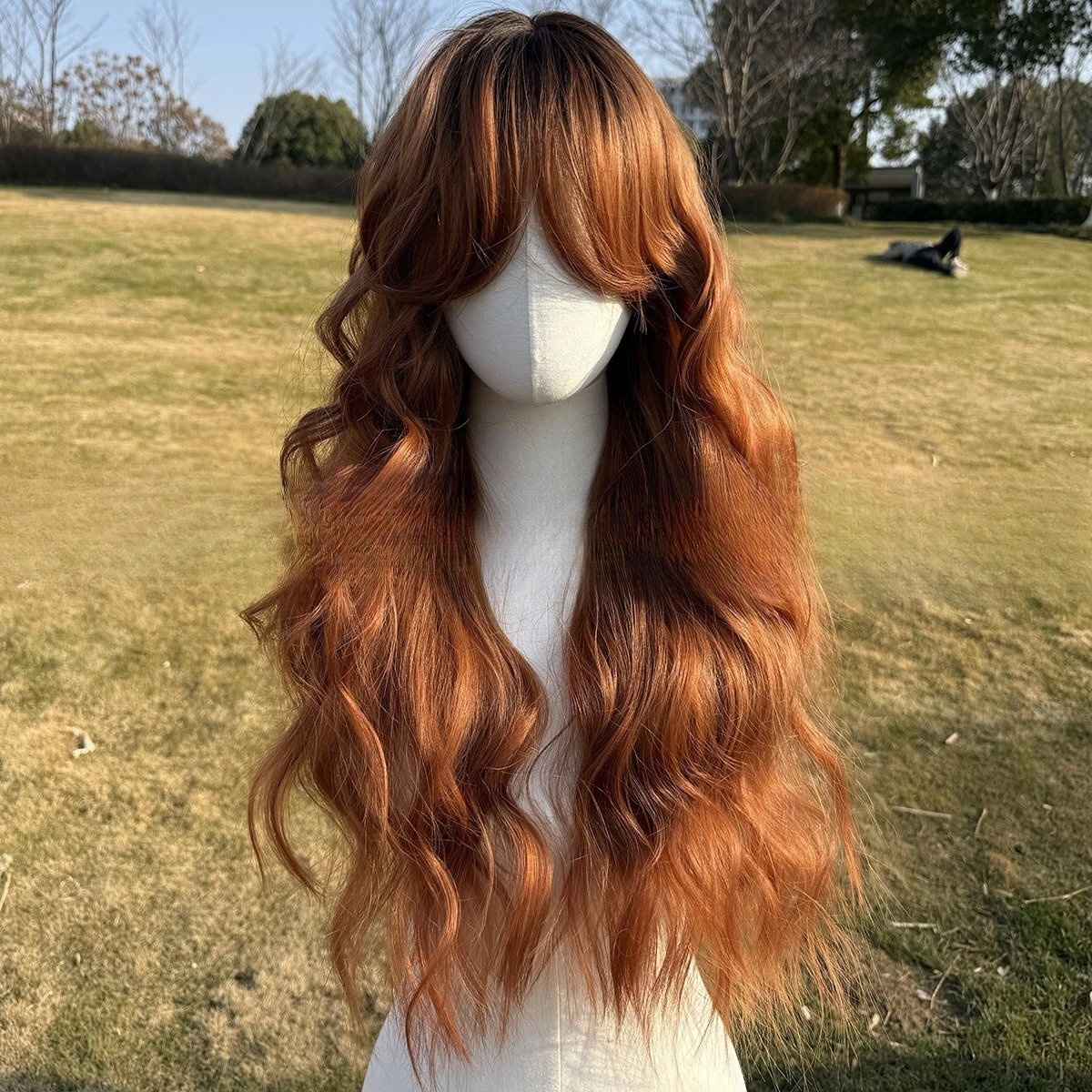 Рисунок 2 - Южная Восточная Азия