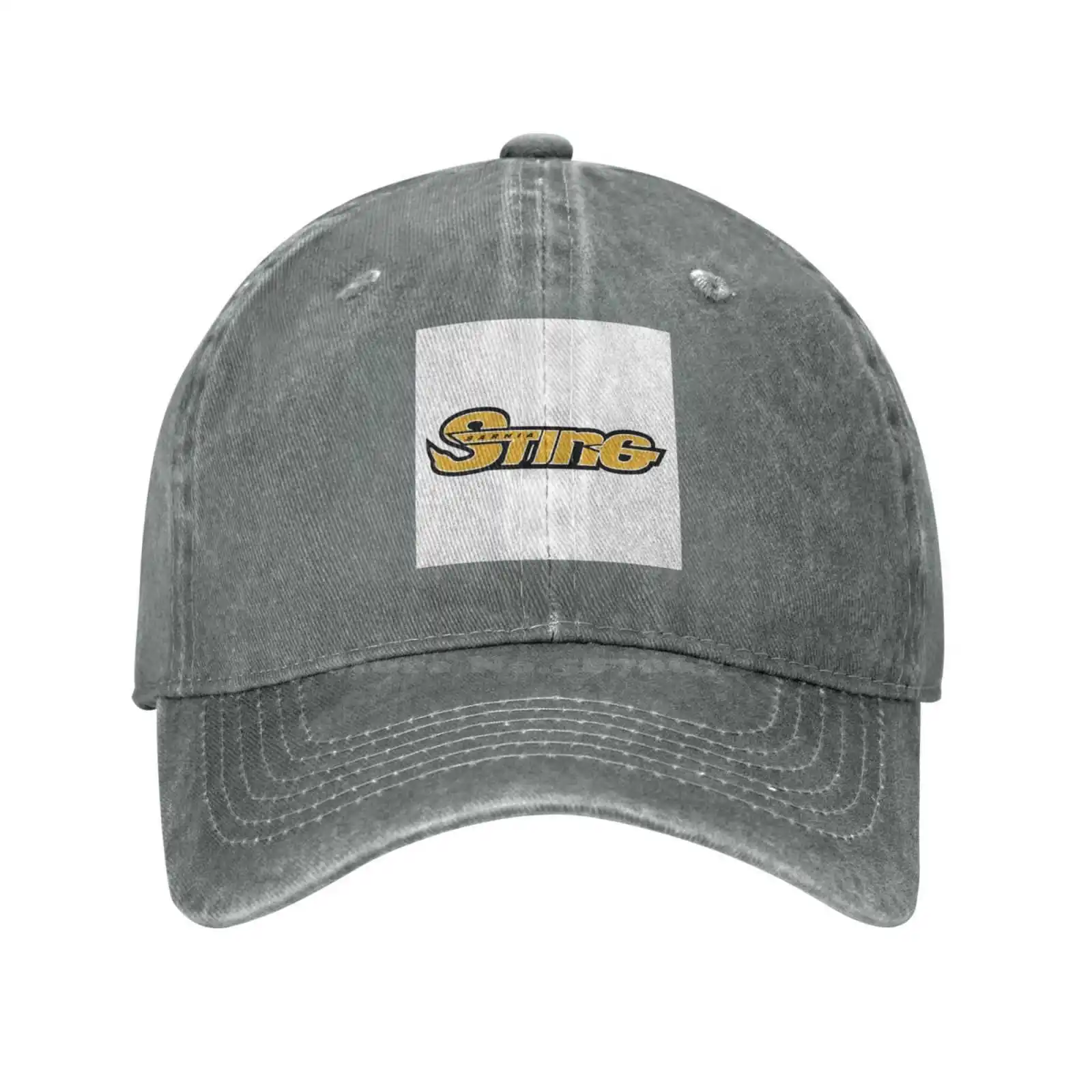 Sarnia Sting Logo Fashion quality Denim cap Knitted hat Baseball cap