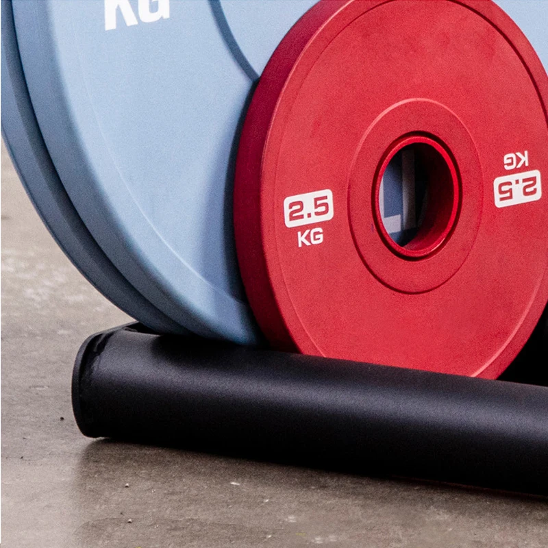 Barbell Plate & Dumbbell Storage Rack, All-in-One Space Saving Organizer for Home Gym