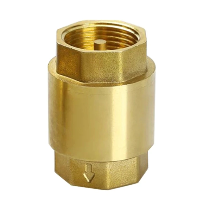 

Check Valves Spring Check Valves Vertical Check Valves Backflow Preventer 1Inch for Fountain Suction Hose Washing