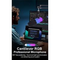 M13K-XLR/USB RGB Dynamic Microphone Kit With Arm Stand Headphone Jack For Gaming For Podcasting Live Recording Streaming