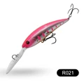 R021