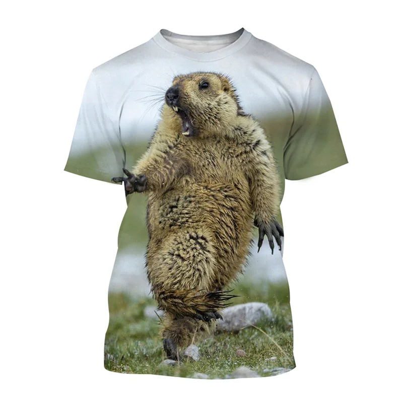 Cute Animal Groundhog 3d Printing T Shirt For Men Casual Street Short-sleeved T-shirt Tops Summer Street Oversized Tees