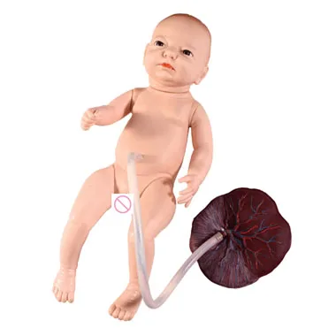 

Nursing Baby Manikin, Neonatal Umbilical Cord Nursing Model,Newborn Umbilical Cord Nursing Manikin