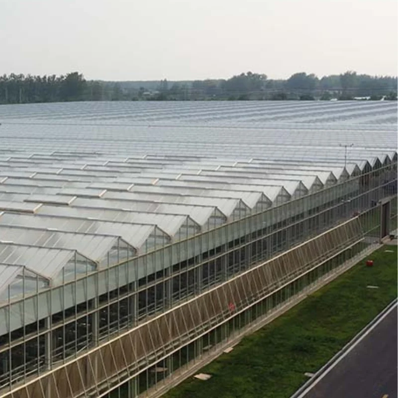 

Customized greenhouseChina Made Multi-Span Hydroponics Plastic Agricultural Greenhouse Supply with Polycarbonate Sheet for Comm