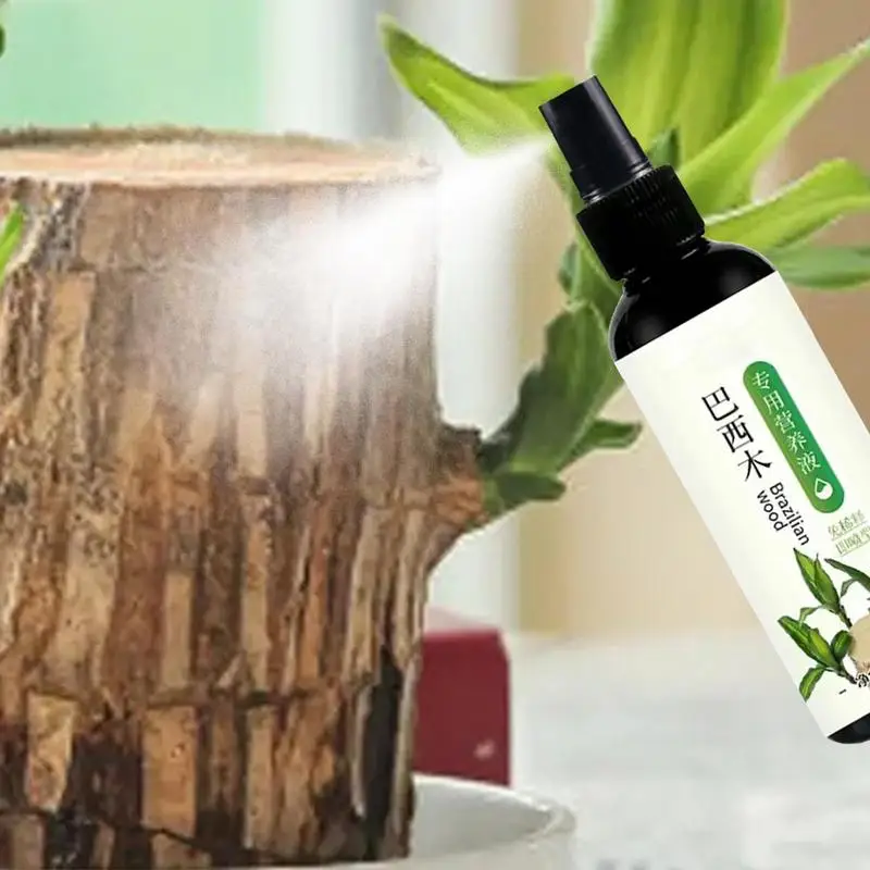 Brazilian Wood Hydroponic Fertilizer 100ml Brazilian Wood Houseplant Plant Fertilizer Indoor Plant Fertilizer For Lucky Wood