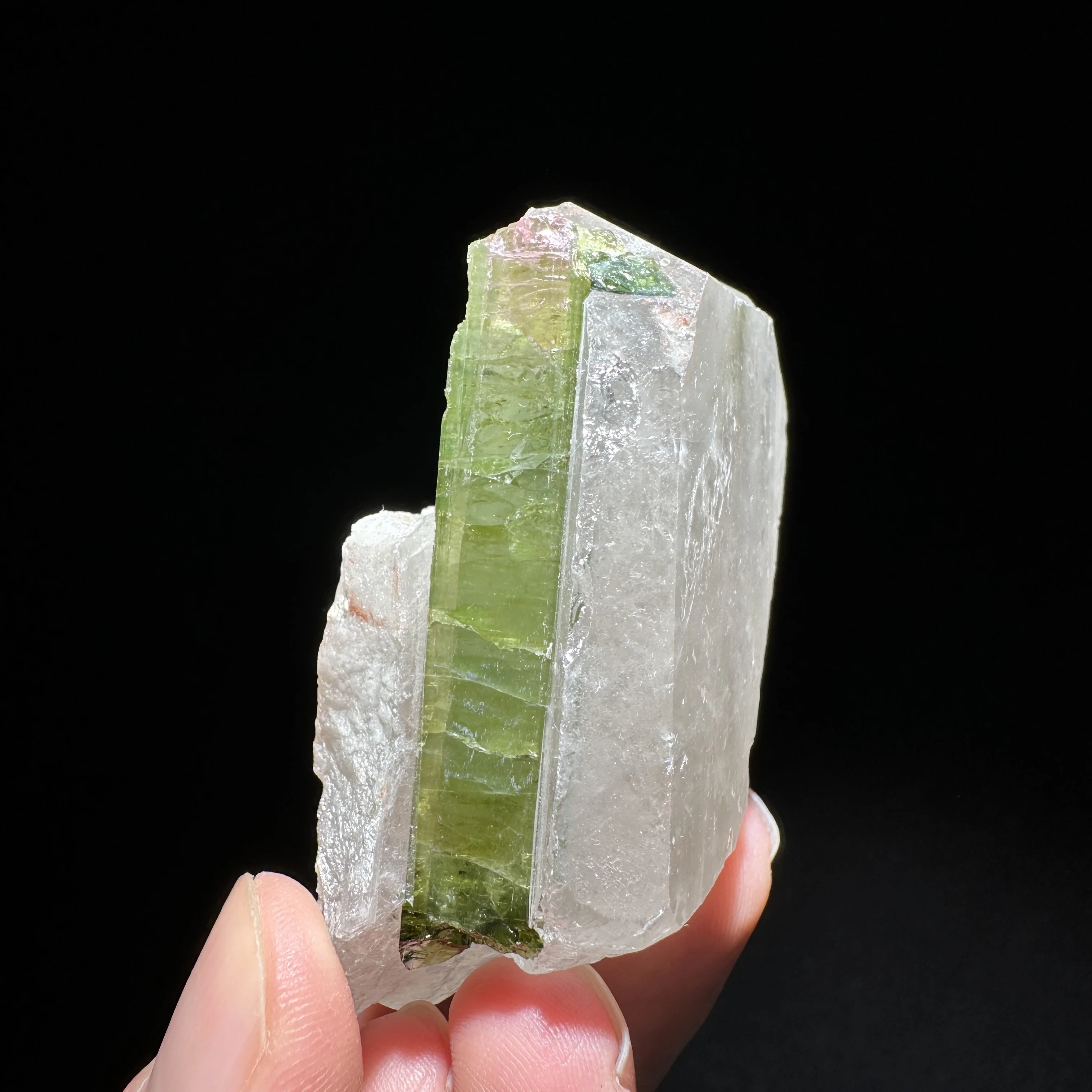 

Natural crystal tourmaline and crystal co-occurring mineral specimens heal quartz crystals and stone rock gemstones