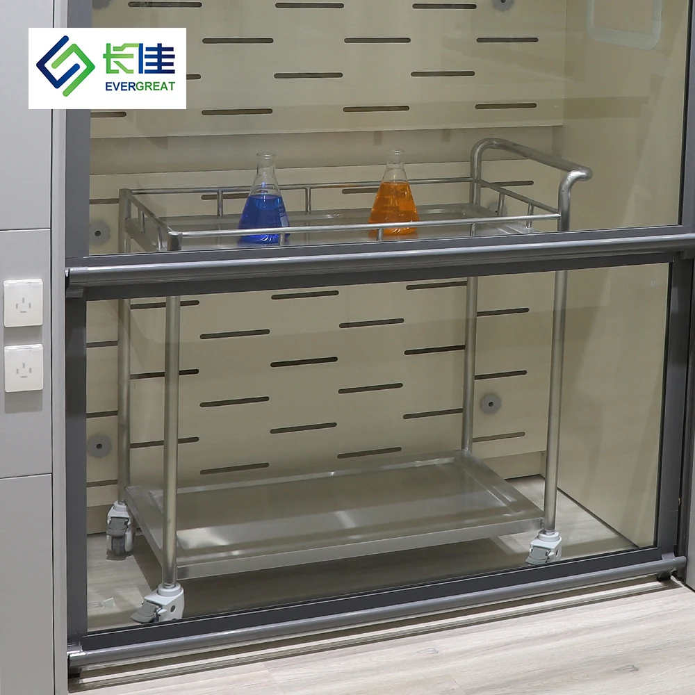 High Efficient Chemical Fume Hood Walk in Fume Hood Lab Equipment