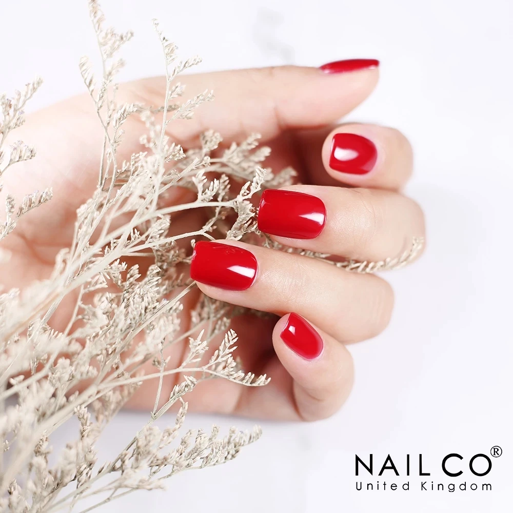 NAILCO VIP Customer Logistics Freight Compensation Logistics freight Supplement image 5