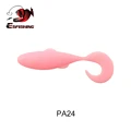 PA24