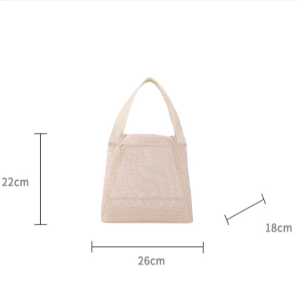 Mesh Wash Storage Bag Durable Multifunction Large Capacity Beach Bags Shower Swimming Handbag