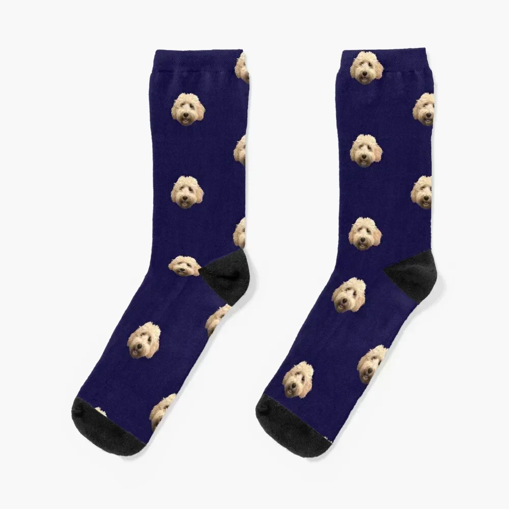 

Rosie the Goldendoodle Socks Stockings compression tennis floral Argentina Boy Socks Women's