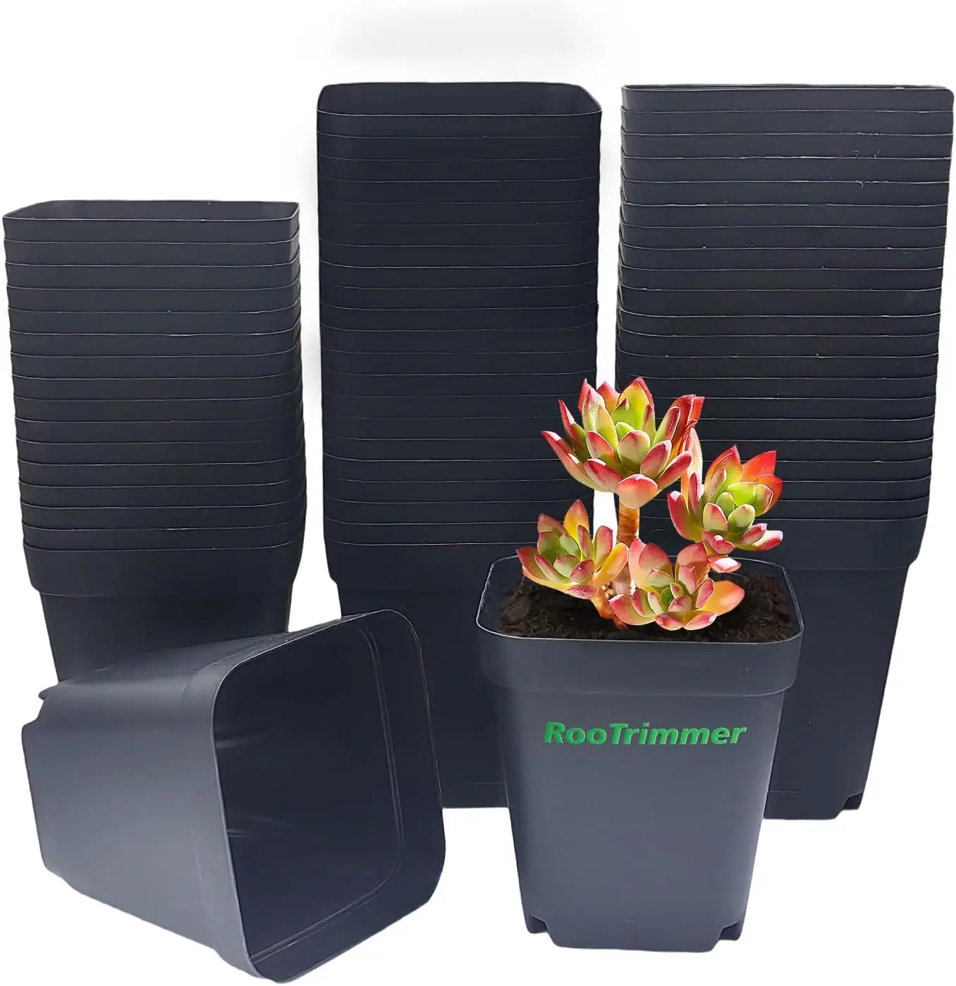 

Square Nursery pots 4 Inches 60Pcs, Seedling Plastic Seeds propogation Growing Pots (Black,4Inches,60Pcs)