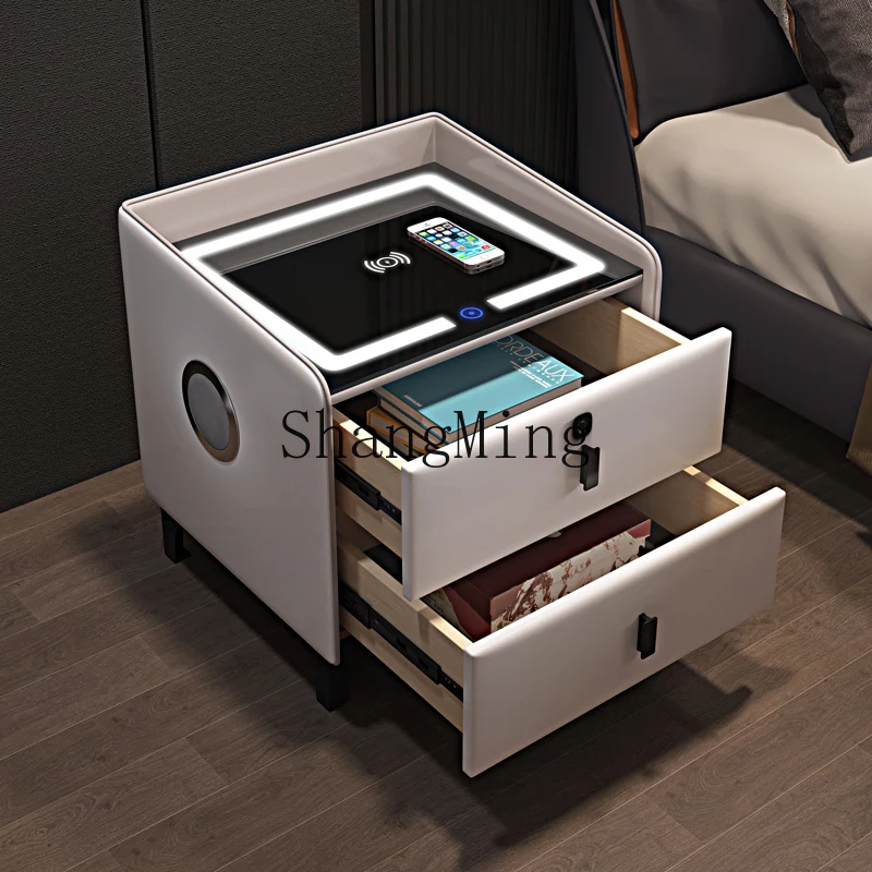 SM Light Luxury Simple Modern Bedroom Small Solid Wood Simple Internet Celebrity Smart Minimalist Storage Cabinet with Lock