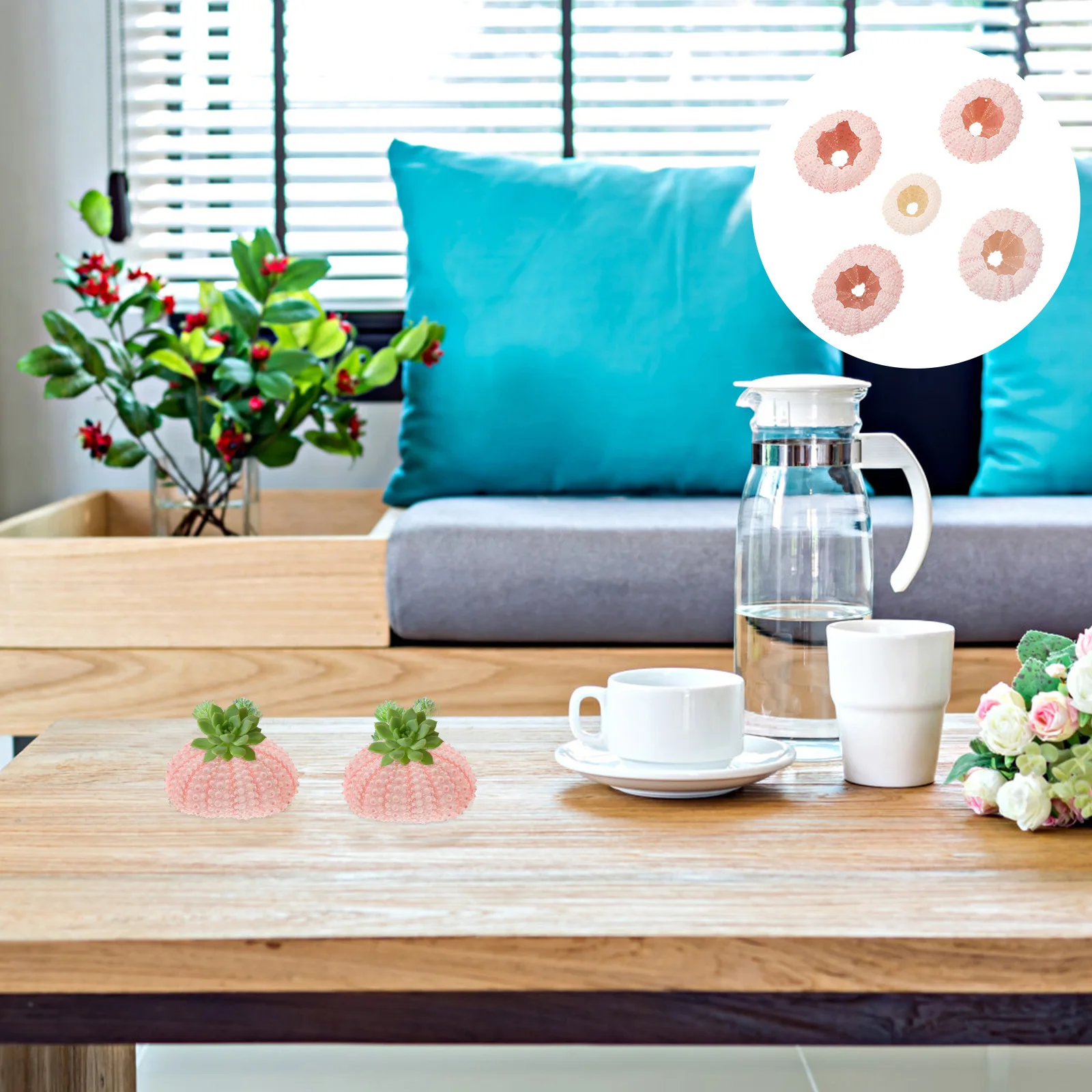 

5Pcs Over 4Cm Sea Urchin Shells Natural Tillandsia Containers Handmade Plant Pots for Office Desk Indoor Outdoor Decor