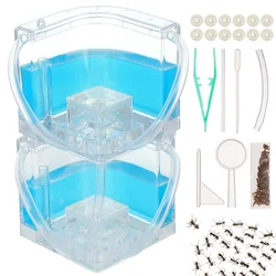 Ant Farm Castle 2 Layer Ant Gel Palace Room Ant Colony Ecosystem Terrarium Ant Habitat Science Learning Natural Educational Toy