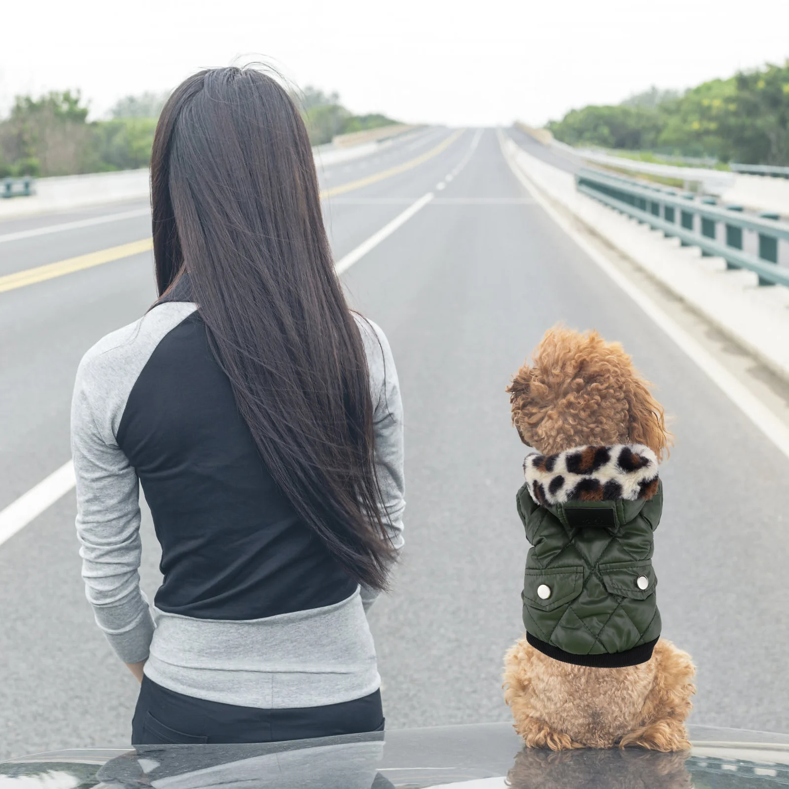 

Winter Overcoat Hoodie Style Size S Army Green High Quality Material Provides Warm Protection for Pets on Snowy