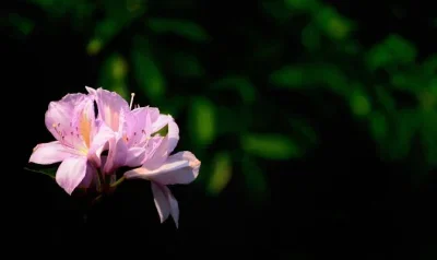 

4Pcs 109mm 1/10 Short Course Truck Tire Tyre with 12mm 14mm 17mm Wheel Hex for Trxs Slash ARRMA SENTON RC Car