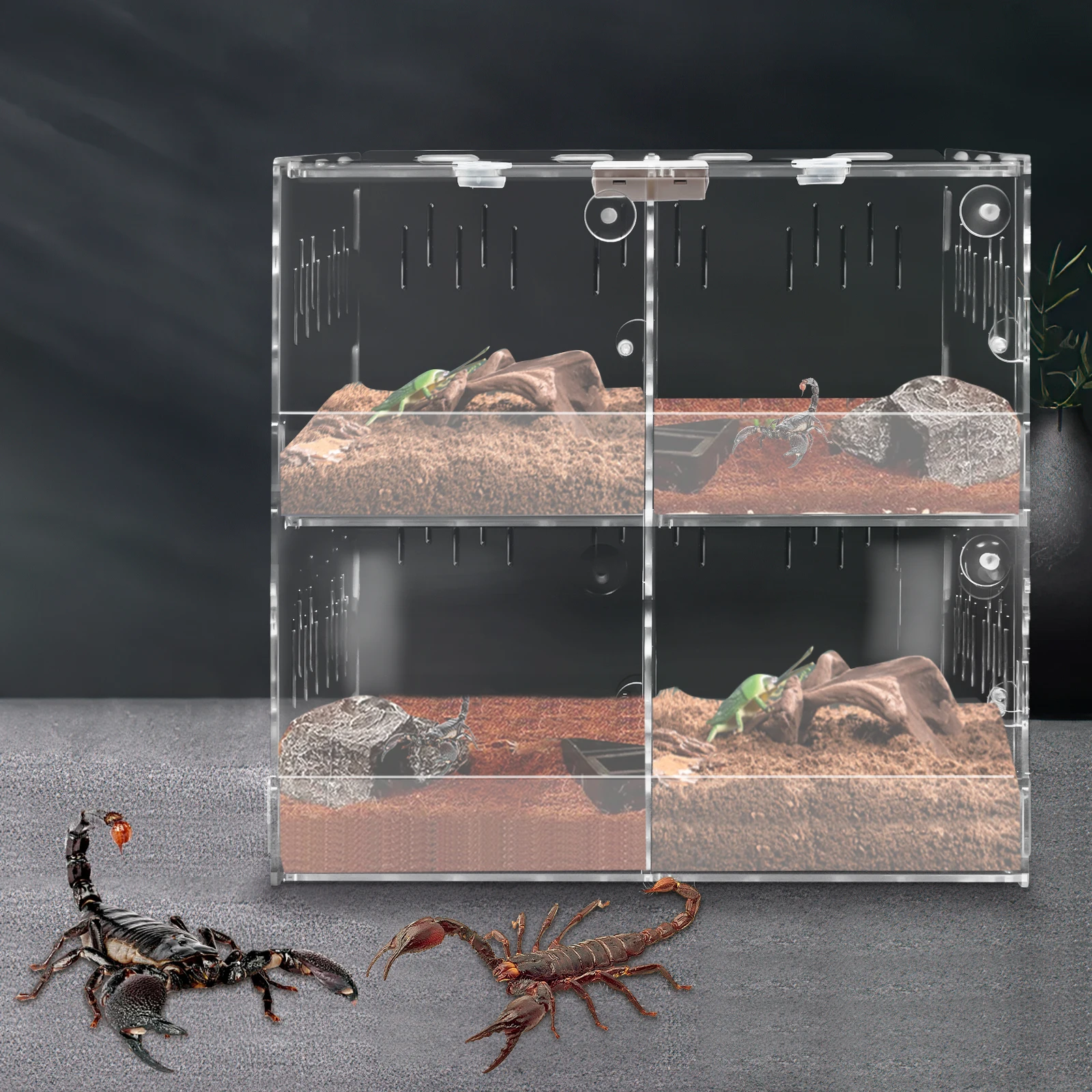 

4 Compartments Reptile Terrarium with Practical Thermometer and Protective Film Suitable for A Variety of Small Reptile Pets
