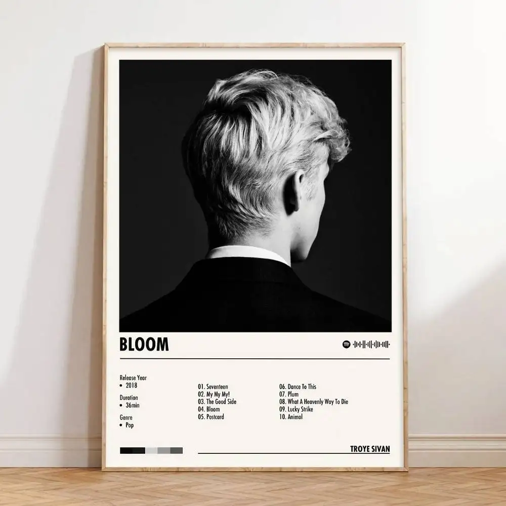 T-Troye S-Sivan постер обложка альбома музыка холст настенный художественный принт фреска домашний декор подарок для меломана